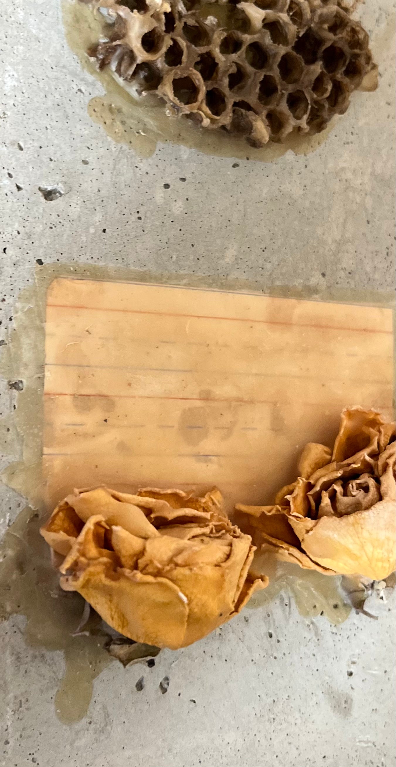 Wall Sculpture With Honeycomb And Roses