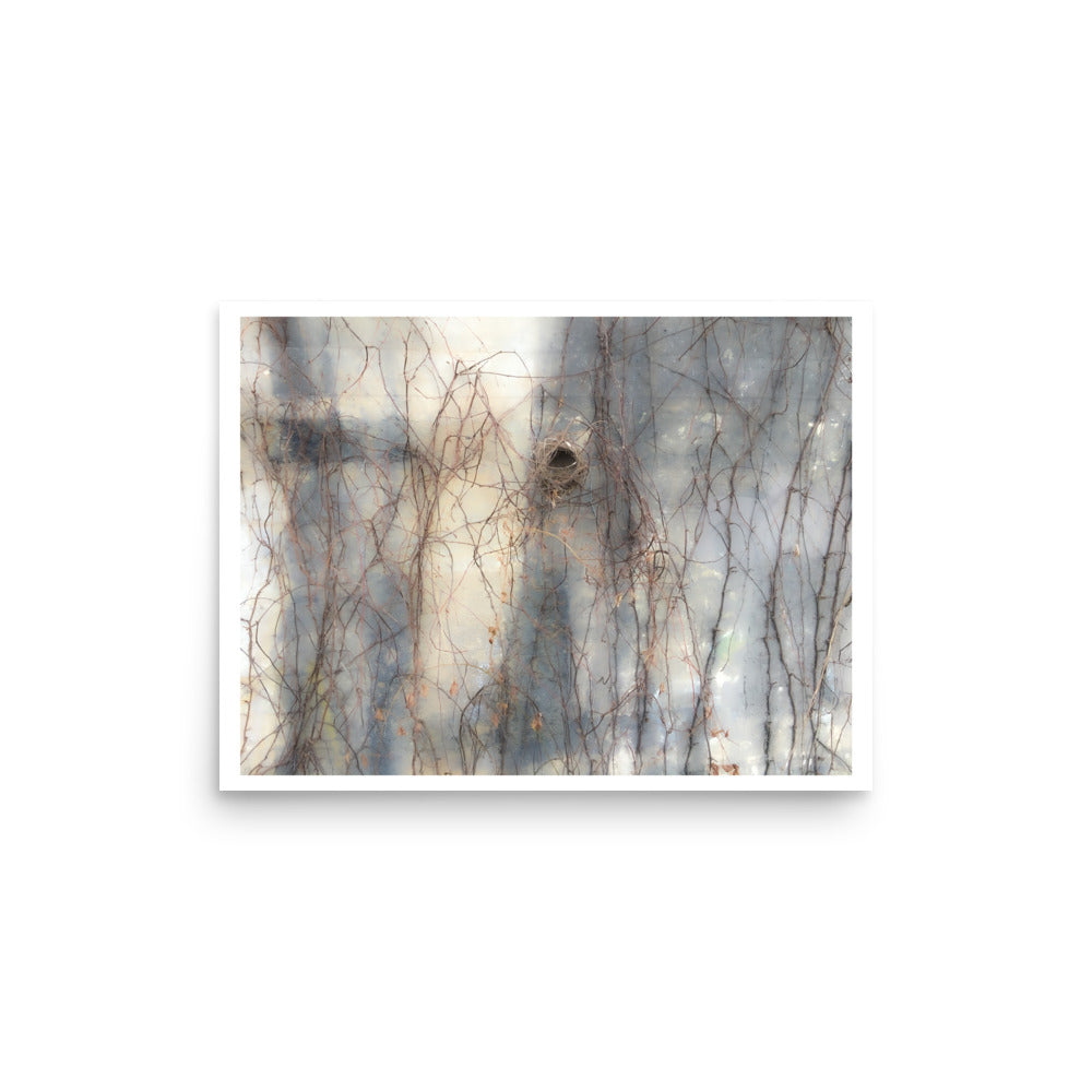 Empty Bird Nest In Fall Poster